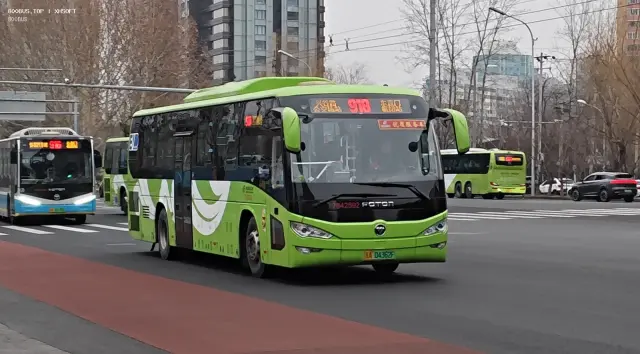 800BUS