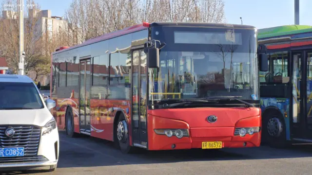 800BUS