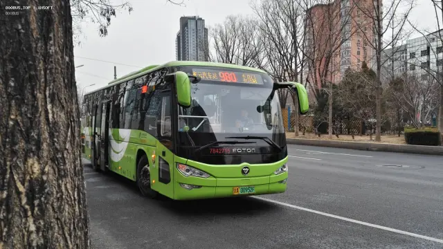 800BUS