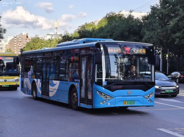 800BUS