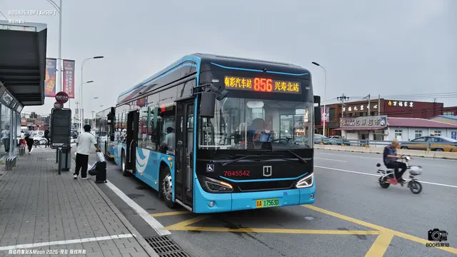 800BUS
