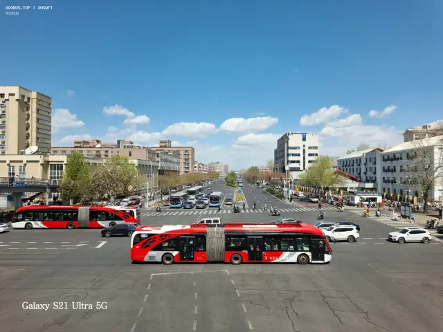 800BUS