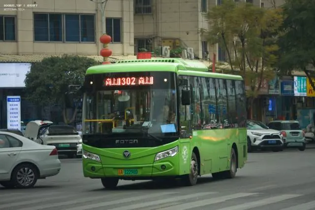 渝A 12298D