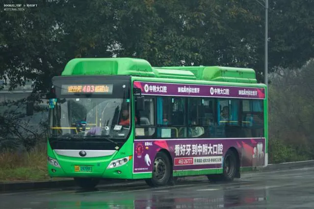 渝A 19799F