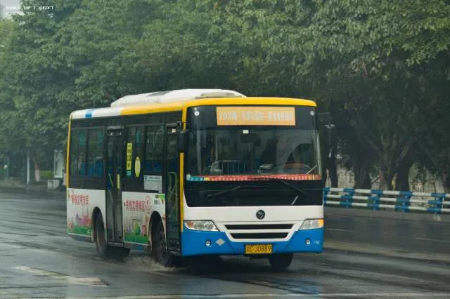 渝C J0889