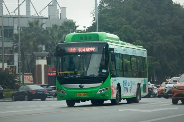 渝D 86696