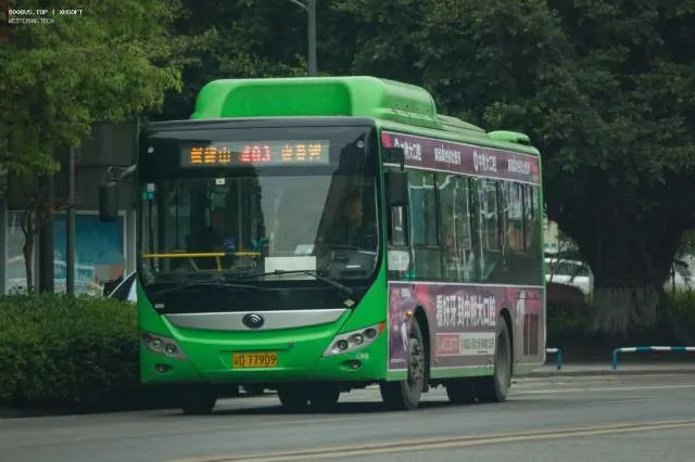 渝D 77909