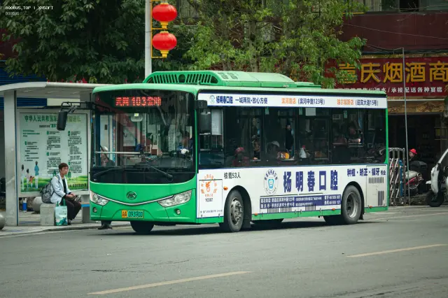 800BUS