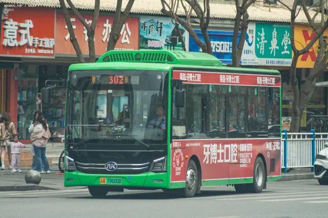 800BUS