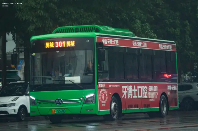 800BUS