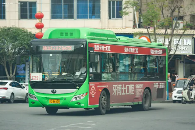 800BUS