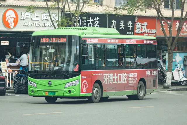 800BUS