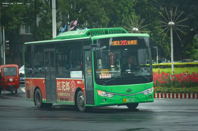 800BUS