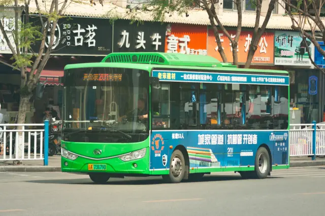 800BUS
