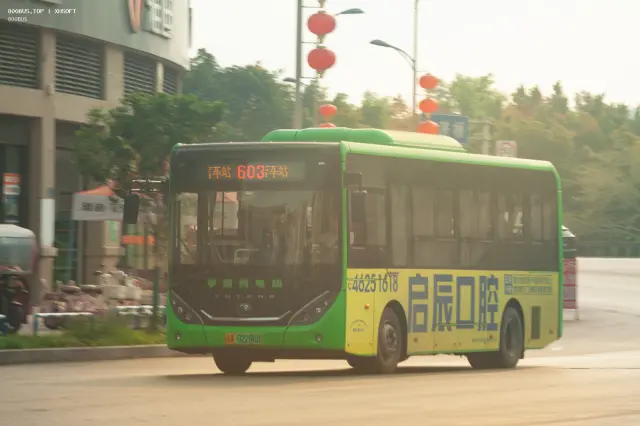 800BUS
