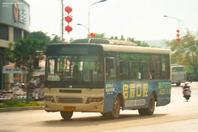 800BUS