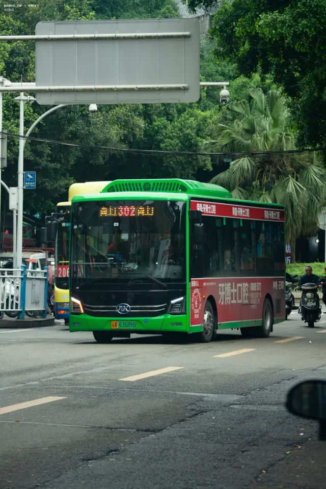 800BUS