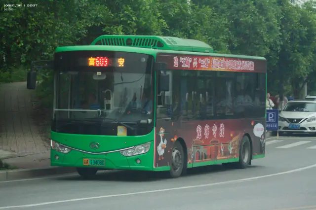 800BUS