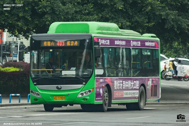 渝D 77909