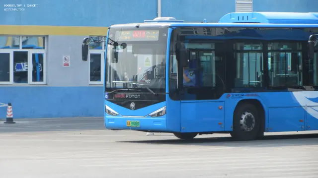 800BUS
