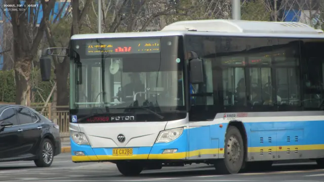 800BUS