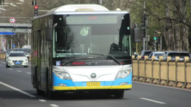 800BUS