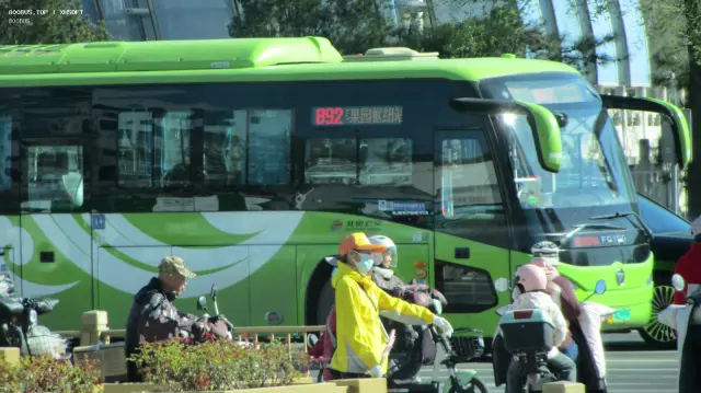800BUS