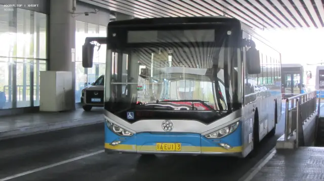 800BUS