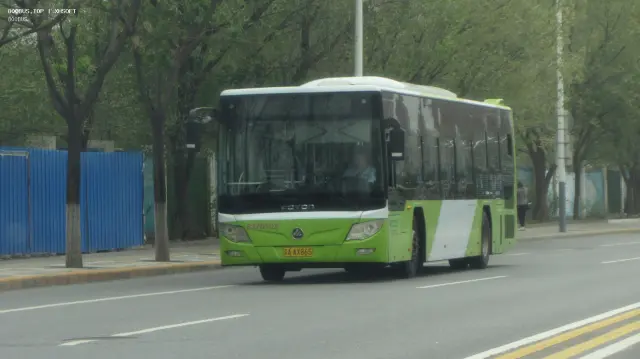 800BUS