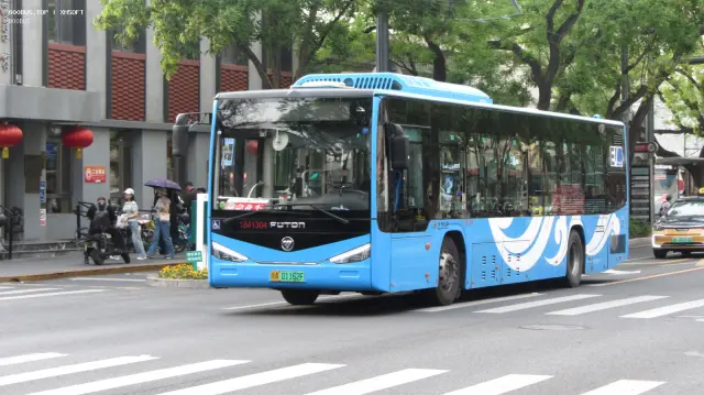 800BUS
