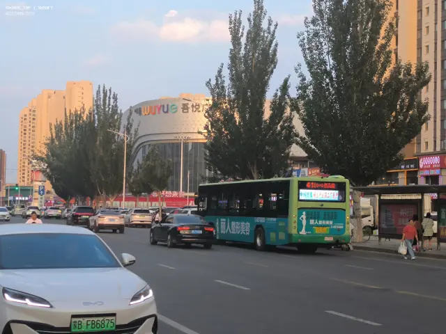 800BUS