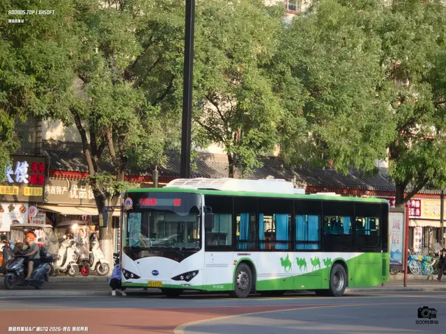 800BUS