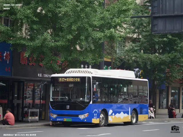 800BUS