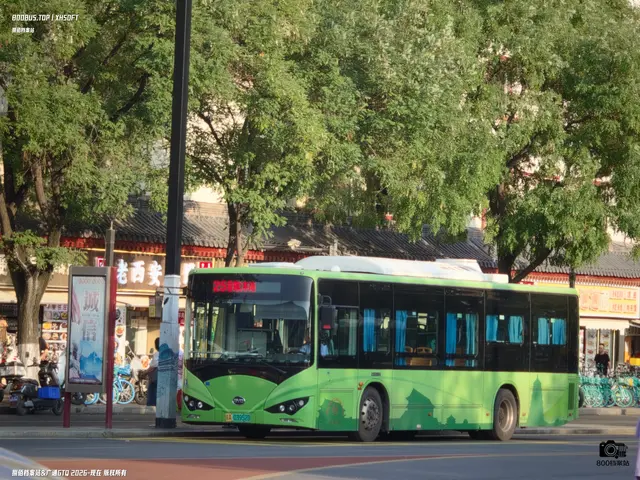 800BUS