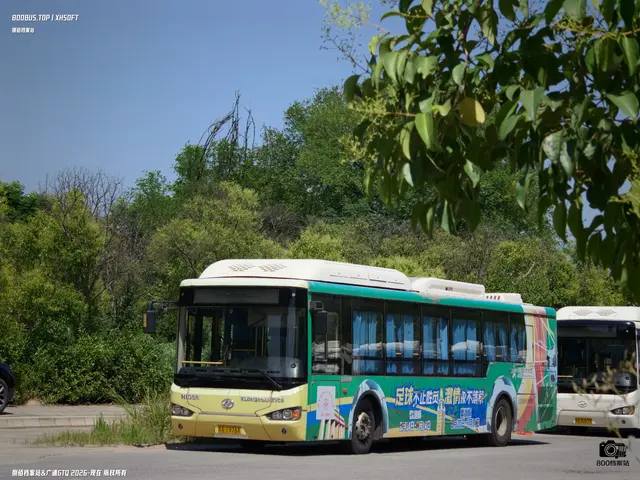 陕A 1976X