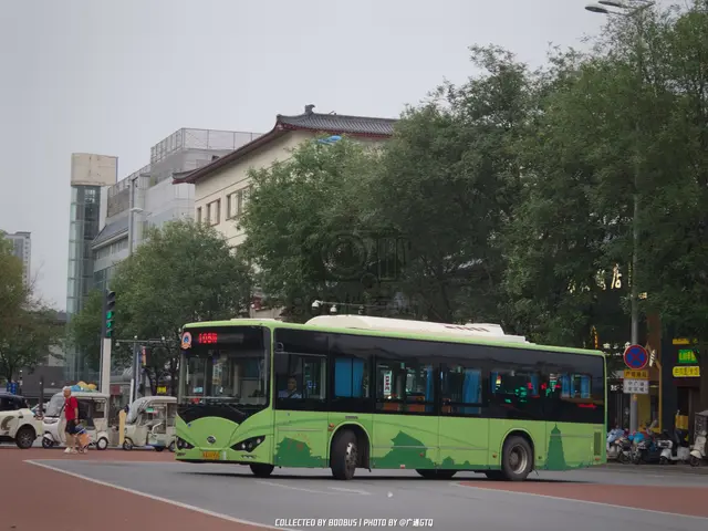 陕A U1956