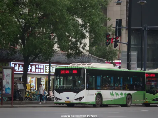 陕A 3998X