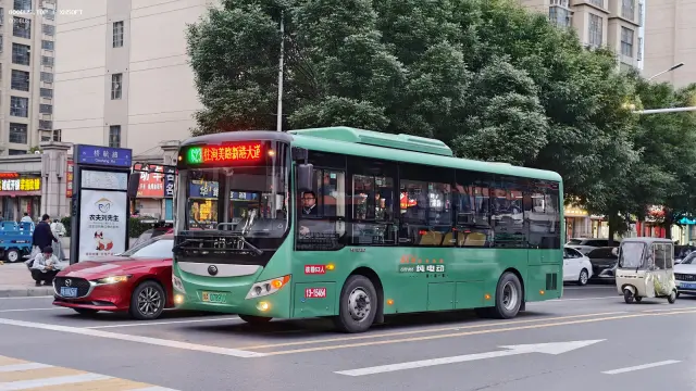 800BUS