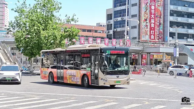 800BUS
