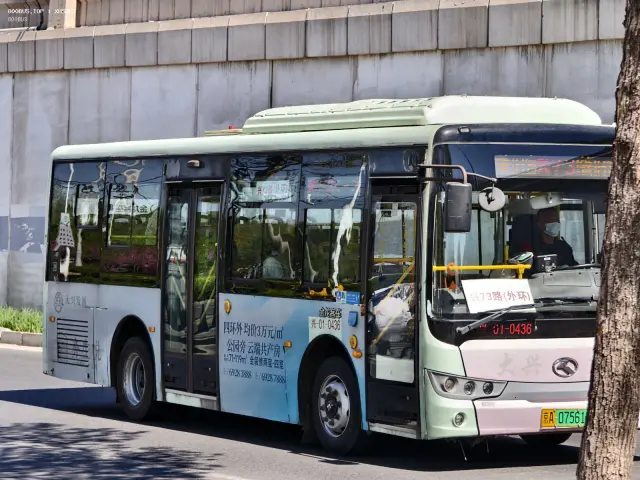 800BUS