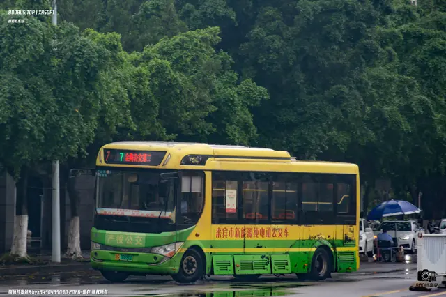 800BUS