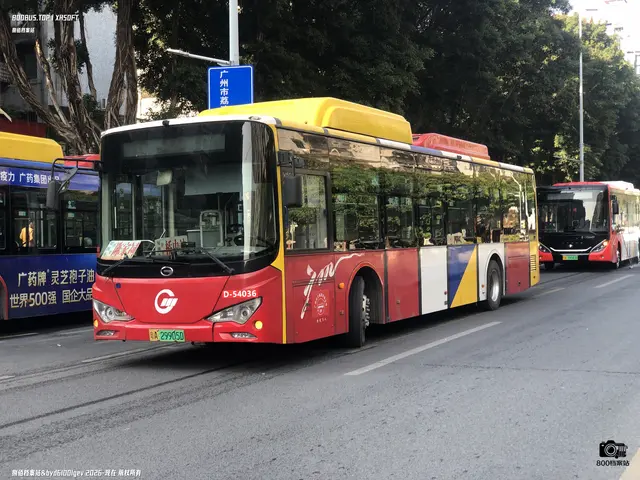 粤A 29905D