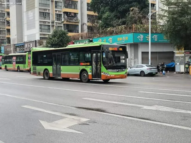 桂A R8775 2686