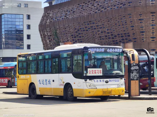 800BUS
