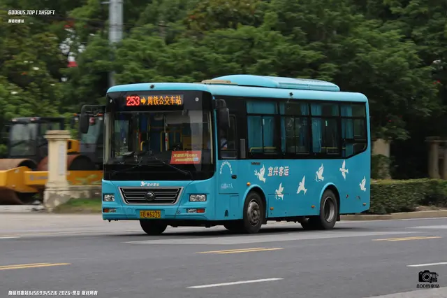 800BUS