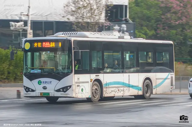 粤B 46913D