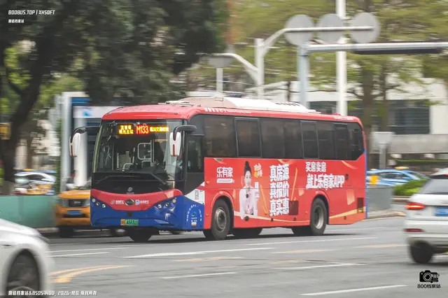 粤B 45631D