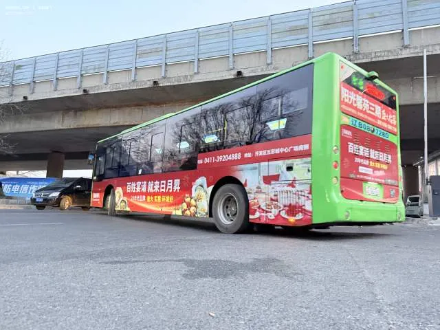 辽B 08728D