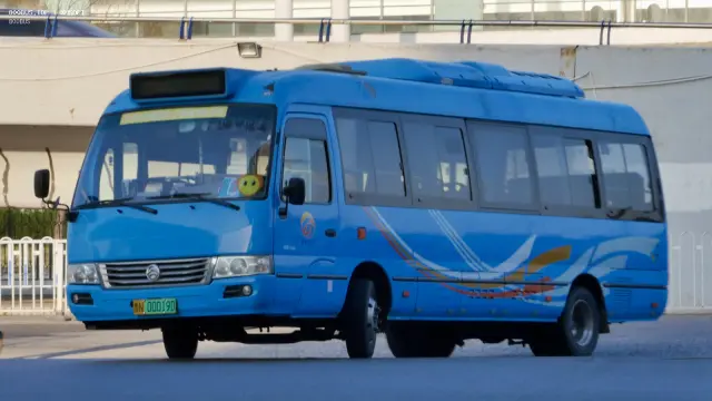 800BUS