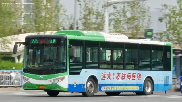 800BUS